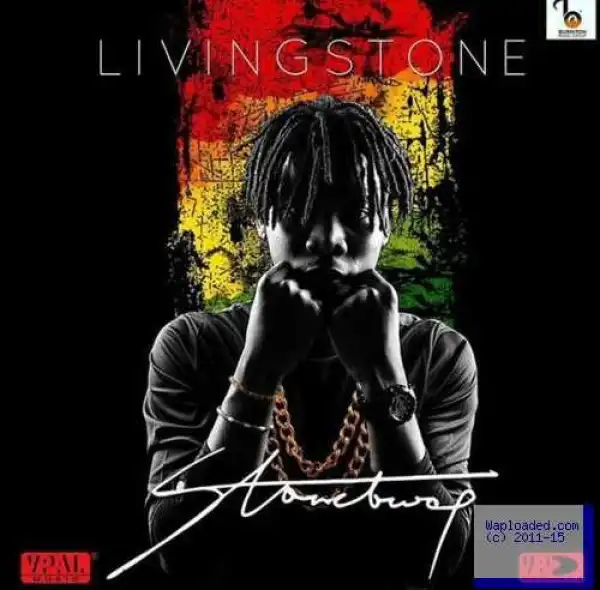 Stonebwoy - Slown Down